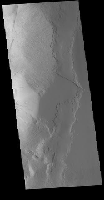 NASA image: Olympus Rupes