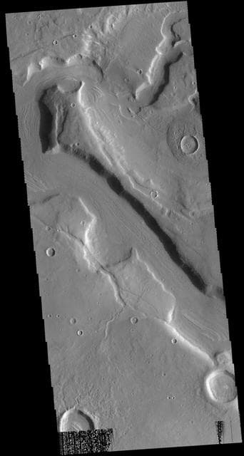 NASA image: Mamers Valles