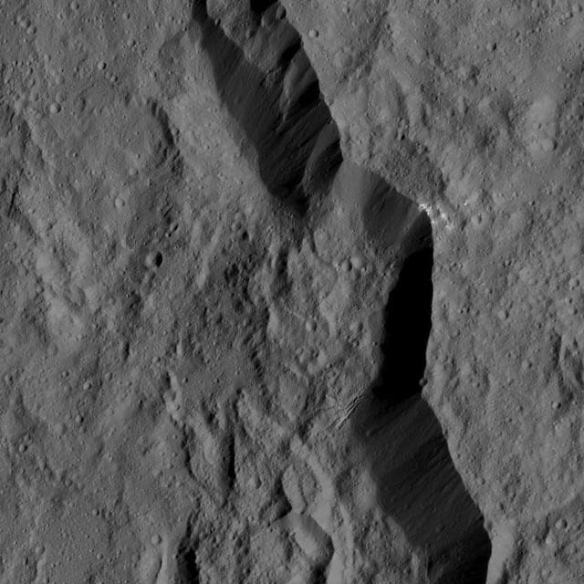 Dawn LAMO Image 176