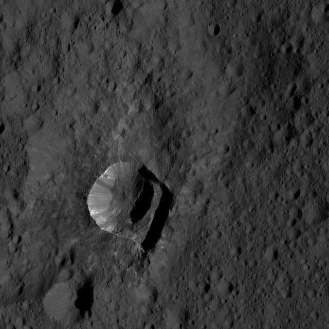 Dawn LAMO Image 188