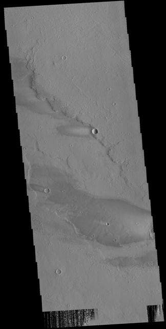 NASA image: Daedalia Planum Windstreaks