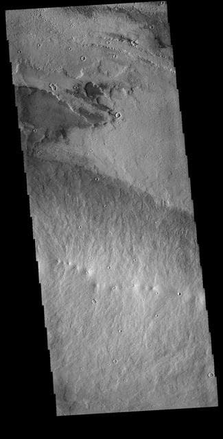 NASA image: Daedalia Planum Vents