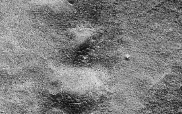 NASA image: Spider Webs