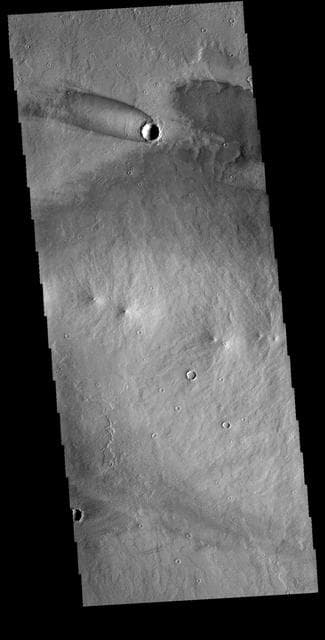 NASA image: Daedalia Planum Windstreak