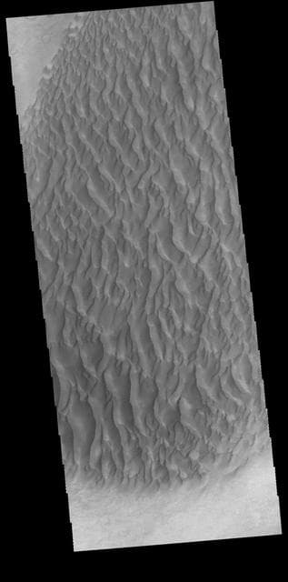 NASA image: Proctor Crater Dunes