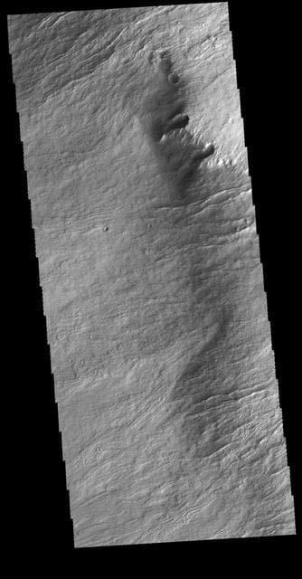 NASA image: Olympus Rupes