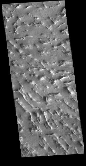 NASA image: Gigas Sulci