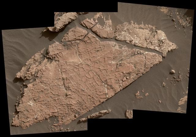 NASA image: Possible Mud Cracks Preserved in Martian Rock