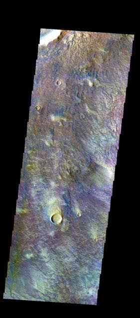 NASA image: Newton Crater - False Color