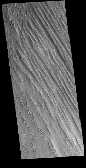 NASA image: Memnonia Sulci