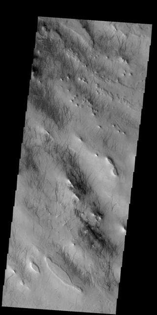 NASA image: Dust Devil Tracks
