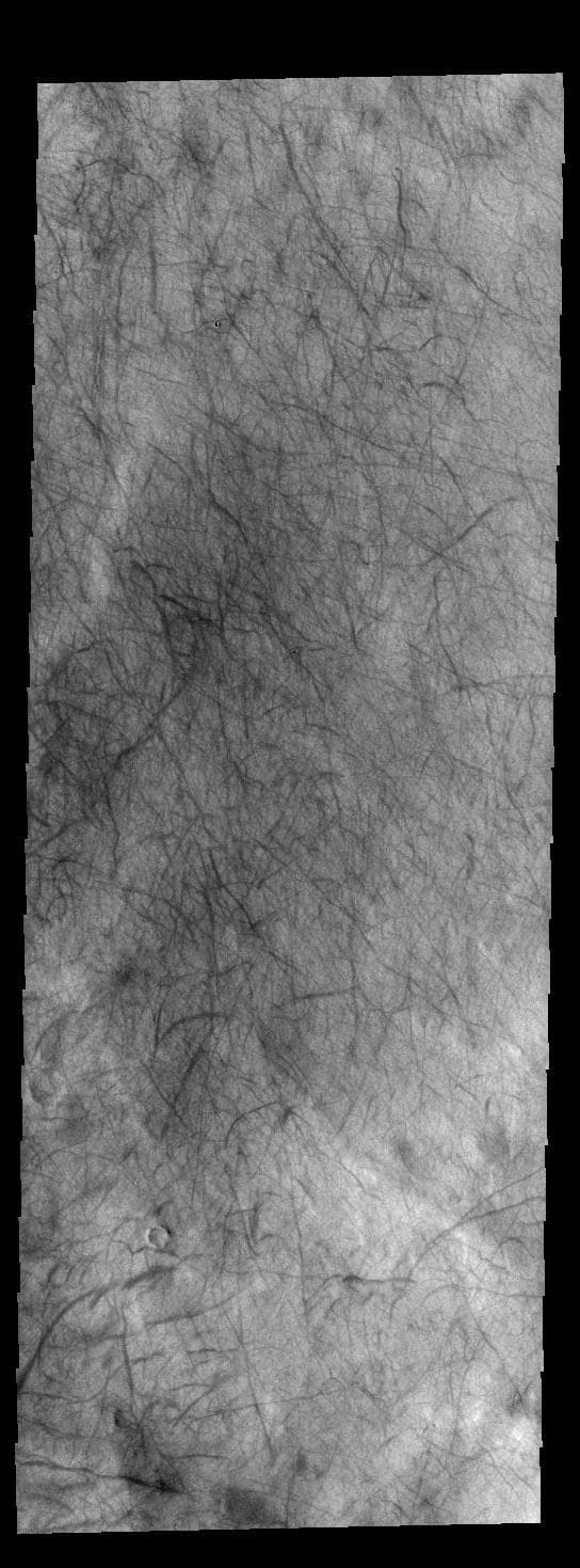 NASA image: Dust Devil Tracks