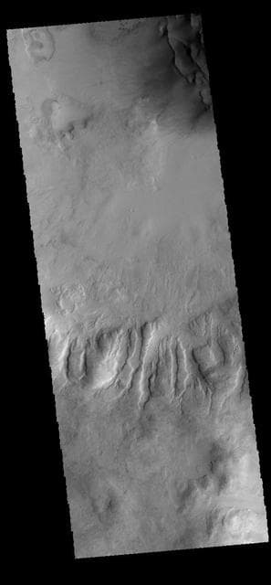NASA image: Dunes and Gullies