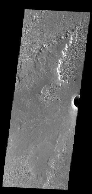 NASA image: Daedalia Planum