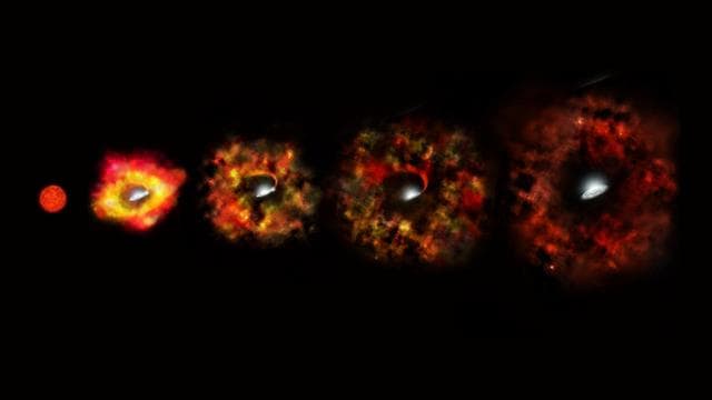 NASA image: Massive Star Goes Out With a Whimper Instead of a Bang (Artist's Concept)