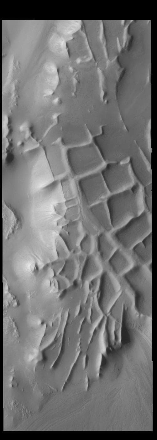 Angustus Labyrinthus