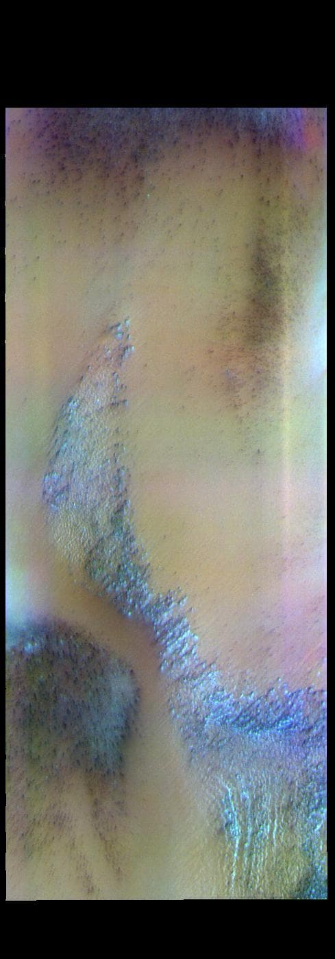 NASA image: Polar Ice - False Color