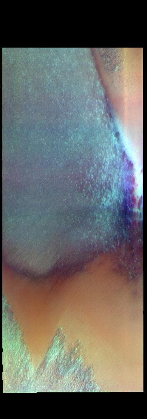 NASA image: South Polar Cap – False Color