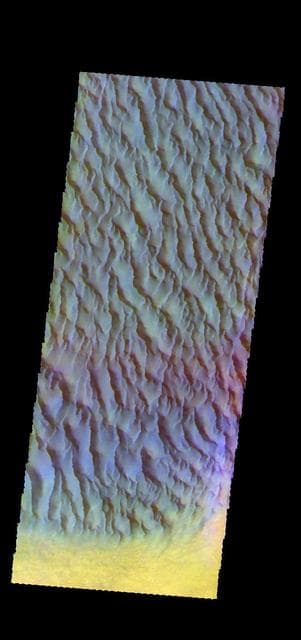 Proctor Crater Dunes- False Color