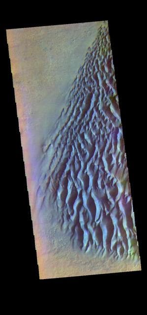 Proctor Crater Dunes- False Color