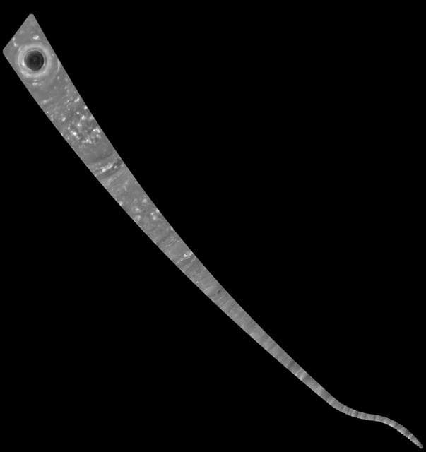 NASA image: Cassini "Noodle" Mosaic of Saturn