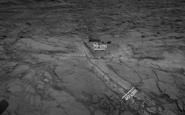 Halos in Martian Sandstone