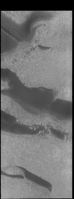 NASA image: Polar Textures