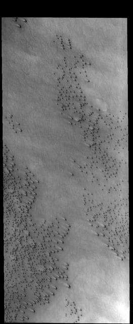 NASA image: THEMIS Art #130