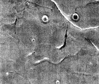 NASA image: THEMIS Art #138