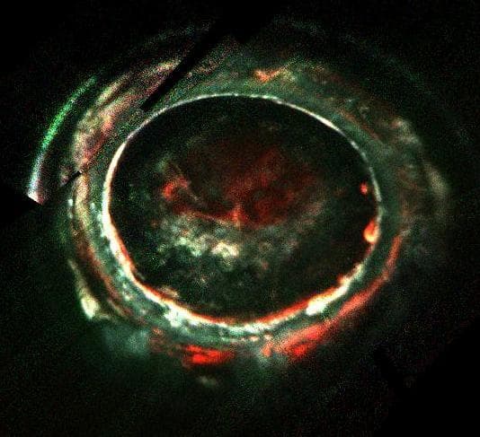 NASA image: Jupiter's Auroras Acceleration Processes