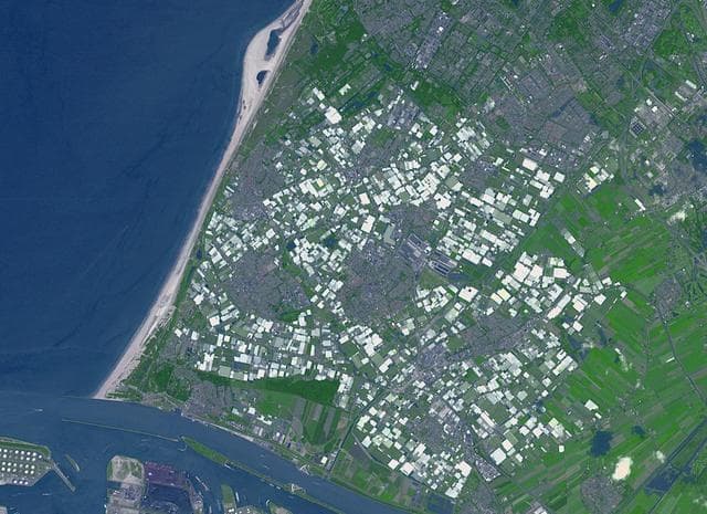 NASA image: Westland, The Netherlands