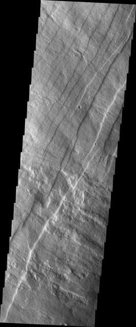 NASA image: Investigating Mars: Pavonis Mons