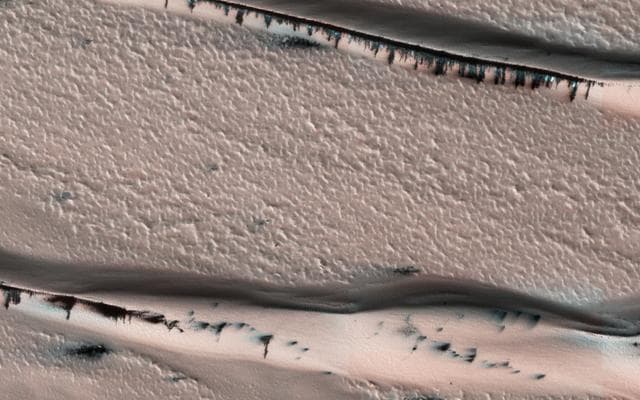 NASA image: Defrosting Dunes within Chasma Boreale