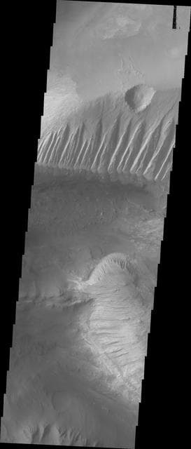 NASA image: Investigating Mars: Candor Chasma