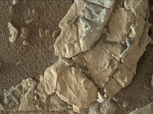 NASA image: Stick-Shape, Rice-Size Features on Martian Rock "Haroldswick"