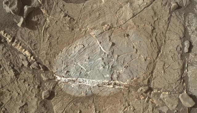 NASA image: Brushed Vein in 'Rona' on 'Vera Rubin Ridge'