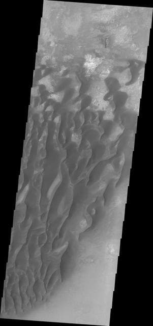 NASA image: Investigating Mars: Kaiser Crater Dunes