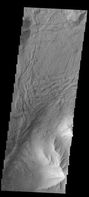 NASA image: Investigating Mars: Tithonium Chasma