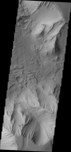 NASA image: Investigating Mars: Tithonium Chasma