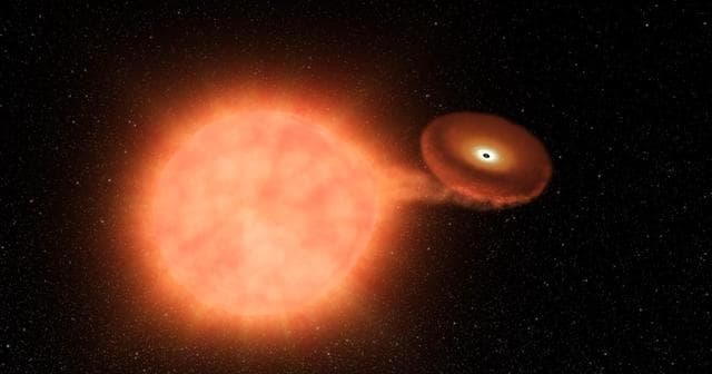 NASA image: Kepler Beyond Planets: Finding Exploding Stars (Type Ia Supernova from a White Dwarf Stealing Matter)