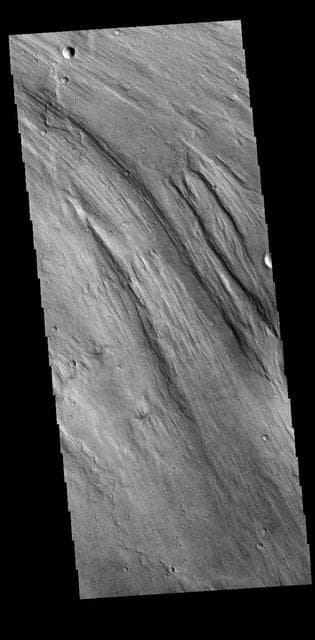 NASA image: Lobo Vallis