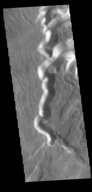 NASA image: Echus Chasma Gully