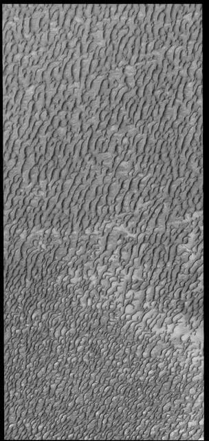 NASA image: Olympia Undae
