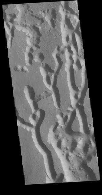 NASA image: Chryse Chaos