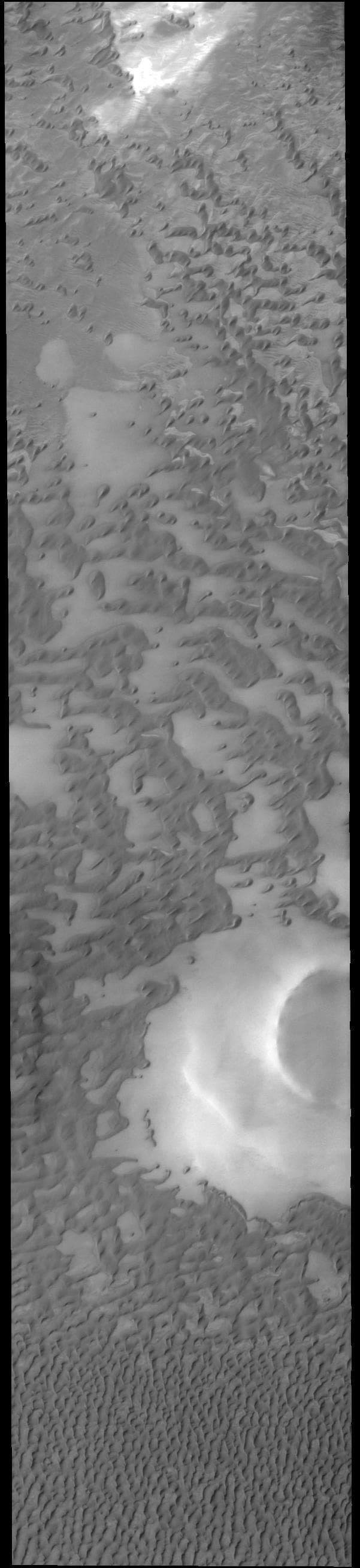 NASA image: Olympia Undae