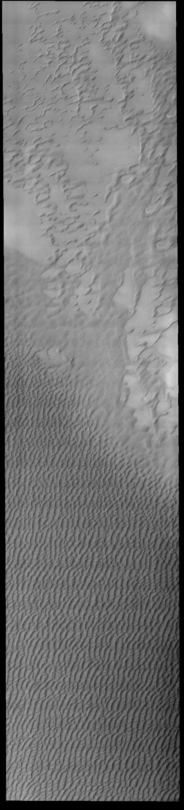 NASA image: Olympia Undae