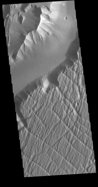 NASA image: Kasei Valles