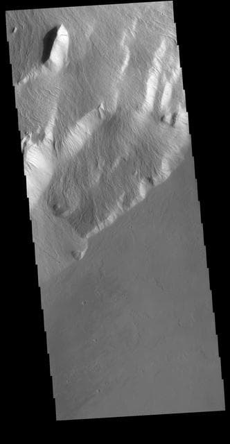 NASA image: Olympus Rupes