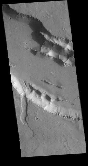 NASA image: Elysium Fossae
