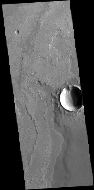 NASA image: Daedalia Planum